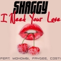 Album I Need Your Love (feat. Mohombi, Faydee & Costi) - Single