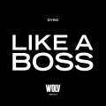 Album Like A Boss
