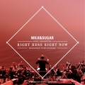 Album IBIZA SYMPHONICA - Right Here, Right Now