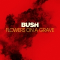 Album Flowers On A Grave