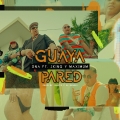 Album Guaya Pared (feat. J-King y Maximan)