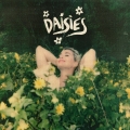 Album Daisies - Single