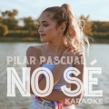 Album No Sé (Karaoke Version)