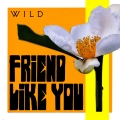 Album Friend Like You