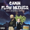 Album Flow Medusa