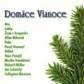 Album Domáce Vianoce