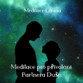 Album Meditace pro přivolání Partnera Duše