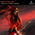 Album What It Feels Like