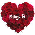 Album Miluji Te