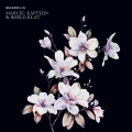 Album Magnolia