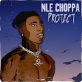 Album Protect