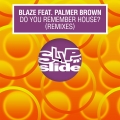 Album Do You Remember House? (feat. Palmer Brown) [Remixes]