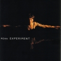 Album Experiment