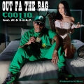 Album Out Fa the Bag (feat. AI & C.L.A.Y.)