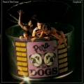 Album Dogfood