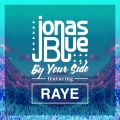 Album Jonas Blue: Electronic Nature – The Mix 2017