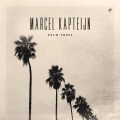 Album Palm Trees