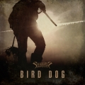 Album Bird Dog