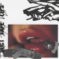 Album Duct Tape Lips