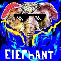 Album Elephant