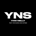 Album Yung Nigga Shit (feat. YNW Gunna & Hotboii)