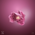 Album LA MANIA