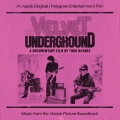 Album The Velvet Underground: A Documentary Film By Todd Haynes