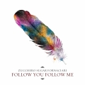 Album Follow You Follow Me