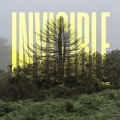 Album The Invisible EP