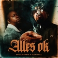 Album Alles ok
