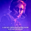 Album I Am My Own Panther Now