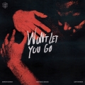 Album Won’t Let You Go - Single