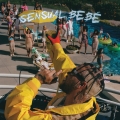 Album Sensual Bebé