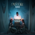 Album Pansement