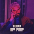 Album My Pony - Single