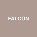 Album Falcon