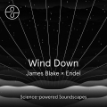 Album Wind Down