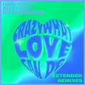 Album Crazy What Love Can Do (Extended Remixes)