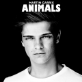 Album Animals (Radio Edit)
