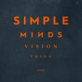 Album Vision Thing