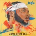 Album Leyla