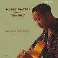 Album Muddy Waters Sings Big Bill Broonzy