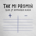 Album Tak mi promiň - Single