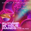 Album Future In Your Hands (feat. Aloe Blacc)