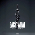 Album Easy What