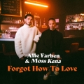 Album Forgot How To Love - Single