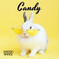 Album Candy