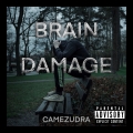 Album Brain Damage